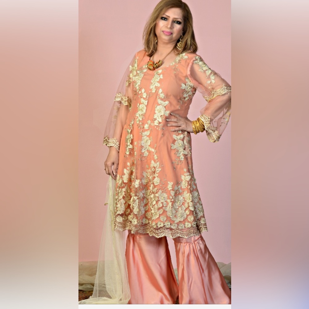 Beautiful peach color net dress